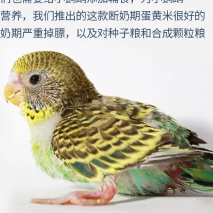 有胶针刺棉80-200克涤纶带胶铺棉服装门襟衬DIY手工包包内衬辅料厂家批发 图片 6