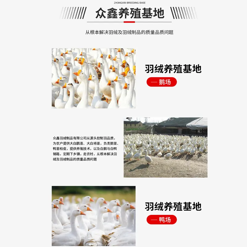 国标水洗95白鸭绒纯白大朵高蓬松羽绒被纺织羽绒羽毛原料鸭绒厂家 图片 3