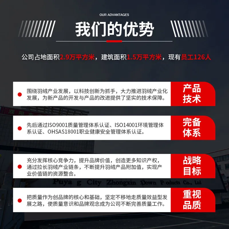国标水洗95白鸭绒纯白大朵高蓬松羽绒被纺织羽绒羽毛原料鸭绒厂家 图片 2