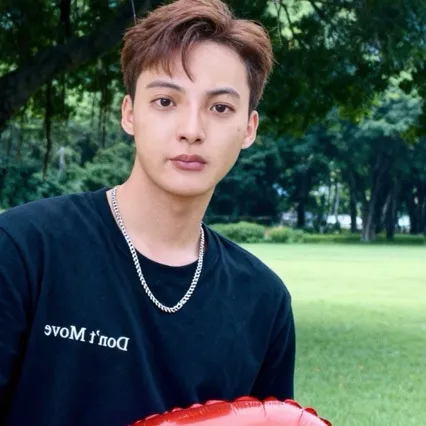 100%丝光棉保罗品牌男装夏季短袖polo衫纯棉翻领高级感刺绣T恤 图片 6